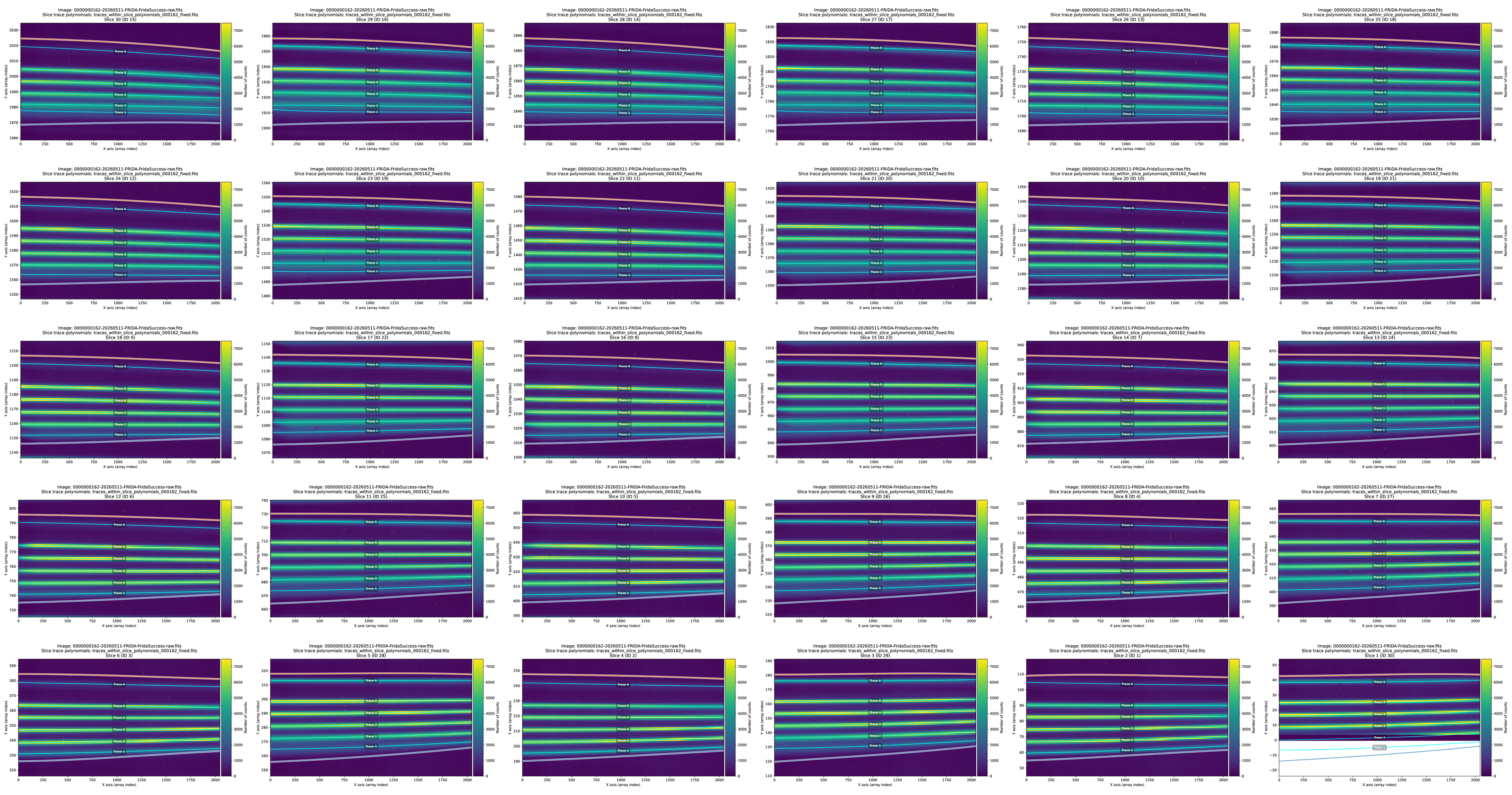 ../../_images/traces_within_slice_polynomials_000162_fixed2_montage.png