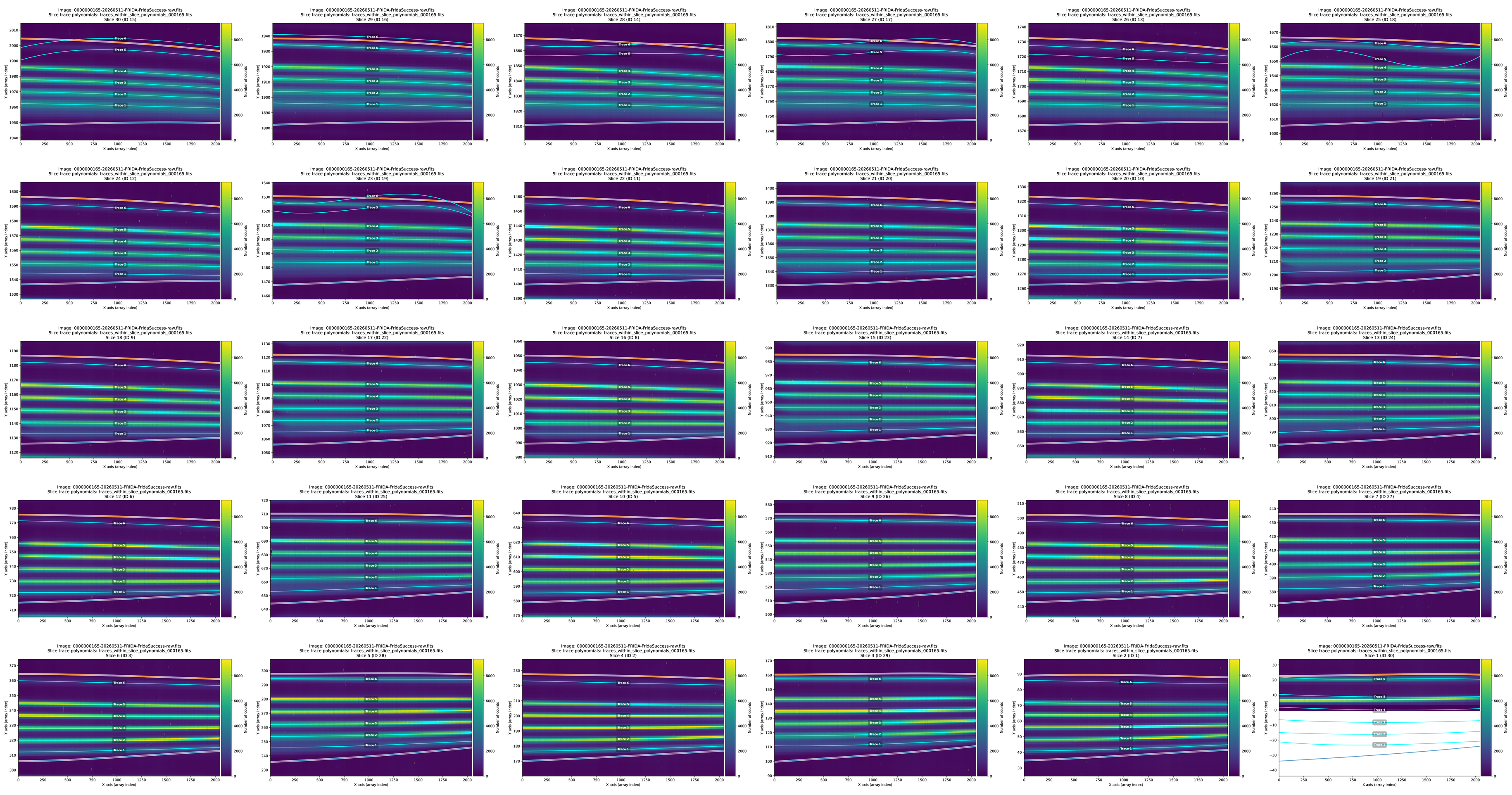 ../../_images/traces_within_slice_polynomials_000165_fixed_montage.png